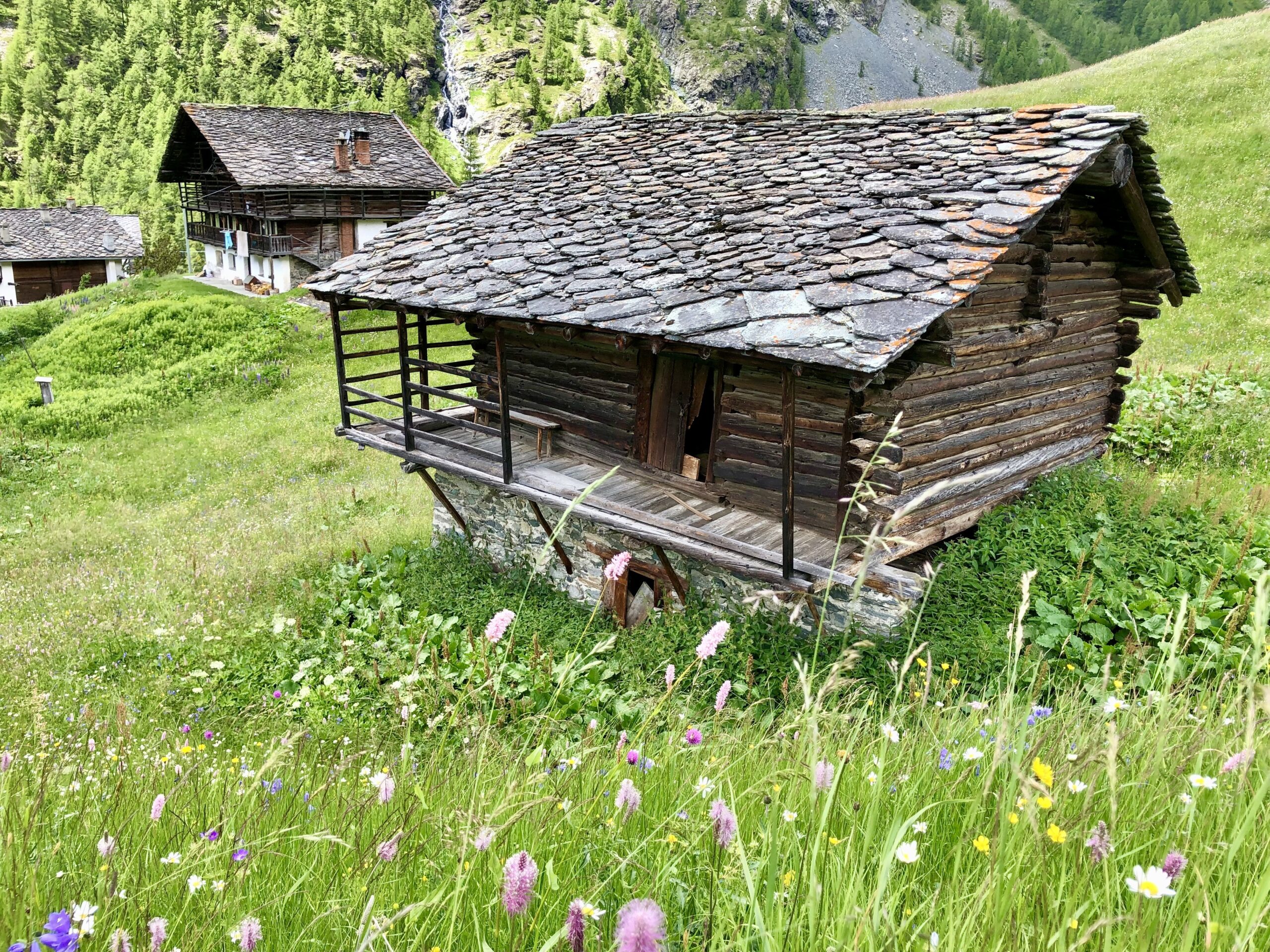 Case Walser immerse in verdi praterie nella Valle di Gressoney, Valle d'Aosta